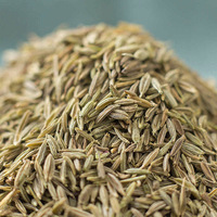 Graines de cumin séchées en vrac biologiques, épices à une seule herbe, prix de gros pour les fournisseurs chinois, graines de cumin noir