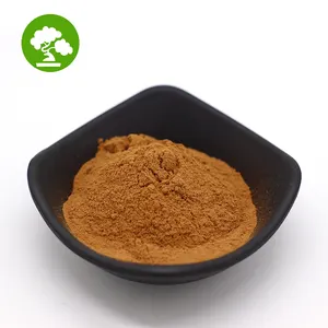 Factory Supply High Quality Cinnamon Powder