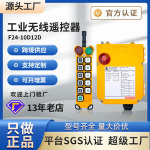 Yudingwei <b>Control</b> Industrial <b>Wireless</b> Remote <b>Control</b> F24-10D/12D Customized Single-Girder Overhead Crane Engineering Vehicle 24V - Product Image 4