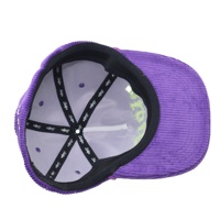 Gorras Snapback Bordadas en 3D de Pana Colorida, Gorras Snapback Vintage para Hombre, Gorra Snapback Clásica