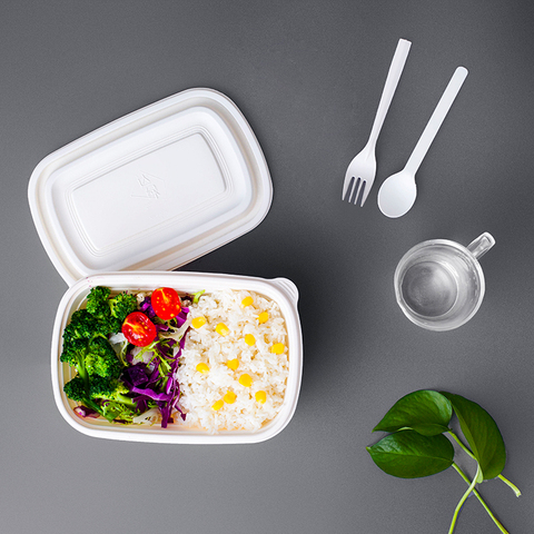Compartmented Trays 32 Oz Deli Container With Lid Plastic Hinged Food Containers