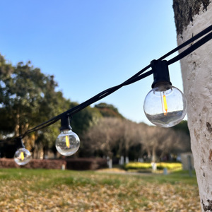 G40 Globe ST38 Waterproof IP44 10m 30bulbs <strong>LED</strong> <strong>String</strong> <strong>Lights</strong> Holiday Outdoor Patio Festoon Lightsf - Product Image 2