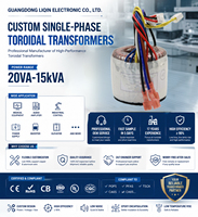 Transformateur toroïdal 250w 300w 12v 24v 36v 48v AUDIO Simple 220V AUTOTRANSFORMATEUR TOROIDAL LQ-290 LIQIN