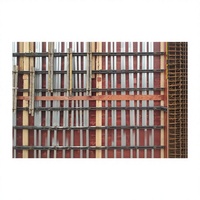 Système de coffrage pour mur de cisaillement, poutre de soutènement en acier, poutre de soutènement arrière, poutre de soutènement galvanisée, réglable, réutilisable, pour construction moderne en béton