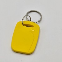 Porte-clés NFC programmable vierge, cartes RFID, porte-clés, étiquette NFC, porte-clés