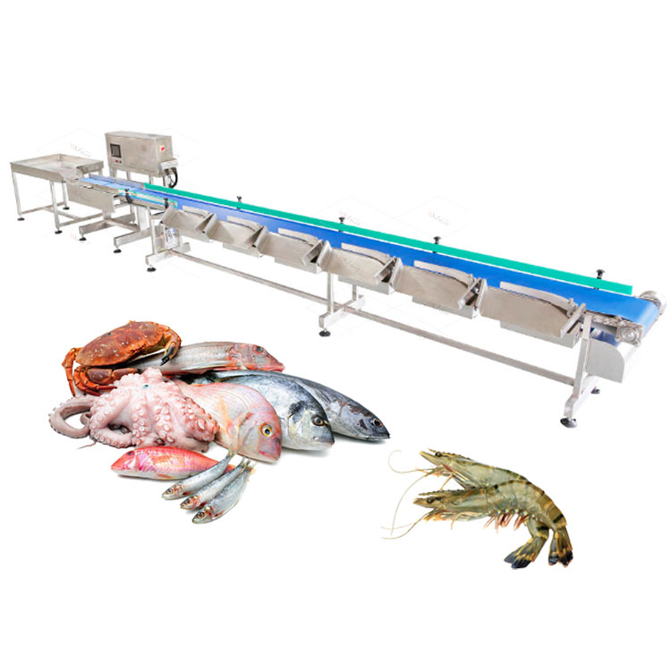 Efficient Automatic Fish Sorting Machines for Aquatic Life