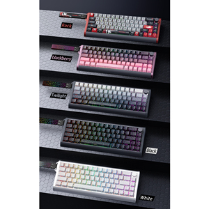 Bàn phím chơi game SKYLOONG GK68 HE khung nhôm, không cần tấm từ, RGB, USB 8K, RT0.01, PBT, switch Gateron JADA Pro TTC KING - Product Image 2