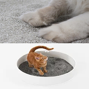 <span class=keywords><strong>Lettiera</strong></span> Profumata per Gatti ad Alta Efficienza, Produzione all'Ingrosso a Prezzi Vantaggiosi - Product Image 3