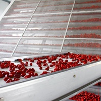 Machine de séchage d'herbes de fruits Jujube Machine de séchage de date rouge à grande sortie d'argousier