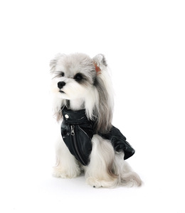 מעיל עור שחור עם רוכסן לחיות מחמד, דגם PAWSMOMENT, רב מכר, מתאים לבישון פריז, מלטיז, כלבים קטנים וטדי, עמיד למים, עשוי פוליאסטר. - Product Image 1