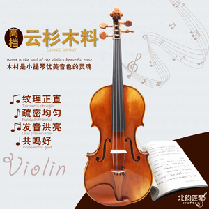 Violon d'étude CHENTUO CT4.0 4/4, table en épicéa massif, flancs en érable, touche en ébène, 4 cordes, étui inclus - Product Image 5