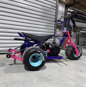 Scooter Motorizado de 3 Ruedas Premium Tvg, Abierto para Pasajeros, Conducción Suave, Alto Rendimiento, 800W 60V, Mini Trike 250cc+, Rápido - Product Image 5