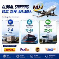 Expédition FedEx DAP vers l'Europe Allemagne France Livraison rapide en 3-5 jours pour échantillons commerciaux et lots en gros