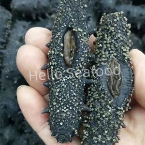 Pepino de Mar Seco Orgánico Rico en Nutrientes para Suplementos de Salud y Bienestar - Product Image 2