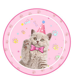 Artículos para Fiesta de Cumpleaños con Temática de Gatos, Juego de Vajilla Desechable para Fiesta - Product Image 4