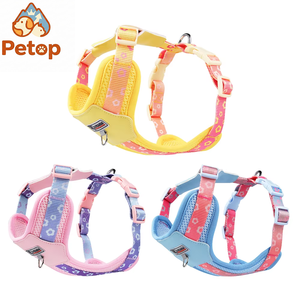 Petop 定制狗用背带套装 H 型 PVC 防水可调节防拉小狗项圈和牵引绳，适合宠物使用 - Product Image 1