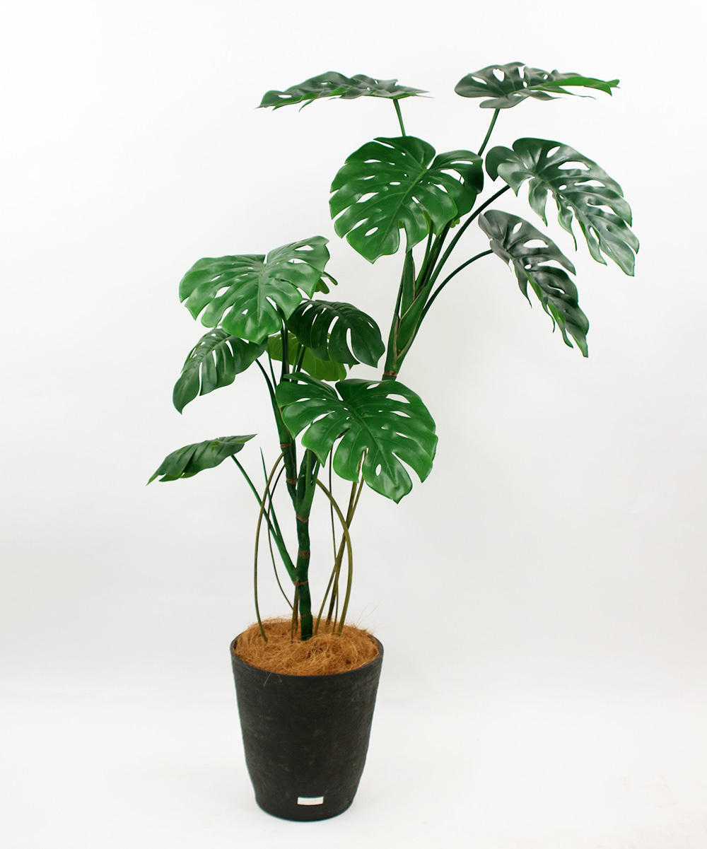 Vol.9สีเขียวดีไซน์เทียม