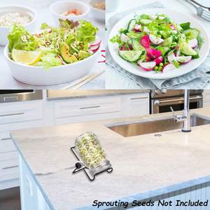 Empty Wide Mouth Handmade High Borosilicate Glass Seed Sprouting Jar with Stainless Steel Strainer <b>Lids</b> Food Grade Kitchen Use - Product Image 2