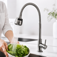 Robinet de cuisine en acier inoxydable à col flexible avec douchette extractible, monocommande