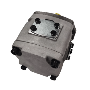 Bomba de Engranajes de Alta Presión IPH-2B-8-11 IPH-5B-50-11 IPH-5B-64-11 Bomba de Engranajes Internos - Product Image 5