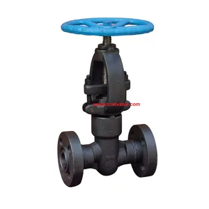 Forged Steel 1/2 inch Class1500 OS Y Flanged RTJ Gate Valves for High Pressure