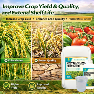 <span class=keywords><strong>ปุ๋ย</strong></span>ซิลิโคนเหลวสำหรับพืชผล ธาตุอาหารซิลิโคน ช่วยเพิ่มผลผลิต ทนทานต่อสภาพอากาศ ละลายน้ำได้ สำหรับข้าว ข้าวสาลี และผัก - Product Image 5