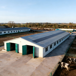 Stalla per Bestiame a Struttura in Acciaio a Montaggio Rapido per l'Ingrassamento del Bestiame Bovino, Stalla Prefabbricata Economica Anti-Corrosione - Product Image 2