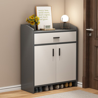 Meuble à chaussures moderne, armoire intégrée pour entrée, grande capacité, meuble d'entrée pour maison de location, étagère à chaussures pour couloir