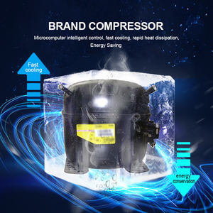 Enfriador <span class=keywords><strong>de</strong></span> exhibición <span class=keywords><strong>de</strong></span> carne con luz UV <span class=keywords><strong>de</strong></span> envejecimiento seco <span class=keywords><strong>de</strong></span> temperatura única portátil <span class=keywords><strong>de</strong></span> 1500L para <span class=keywords><strong>filete</strong></span> <span class=keywords><strong>Wagyu</strong></span> equipo <span class=keywords><strong>de</strong></span> refrigeración <span class=keywords><strong>de</strong></span> carne - Product Image 5