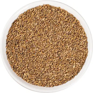 Di Fu Zi Kochia-Samen Chinesische Kräutermedizin Hochwertige Getrocknete Rohe AD-Granulate Kochia Scoparia L. Schrad Frucht Gesundheitsgewürze - Product Image 3