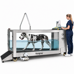 Cinta de correr acuática para terapia de rehabilitación canina para perros grandes, para piscina, en oferta - Product Image 1