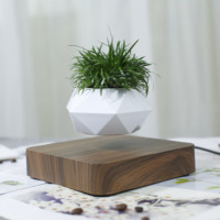 Maceta Eléctrica Magnética Levitante para Bonsái, Soporte Flotante de Plástico ABS para Plantas, Levitación de 10-15 mm para Jardín y Hogar, Más Vendida