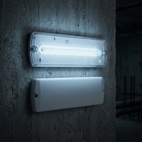 Luminaire d'urgence LED mural IP65 autonome 3H pour usage extérieur et industriel