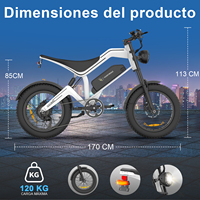 Brezilya ve Meksika Stokları 750W Fırçasız Yüksek Kaliteli Elektrikli Bisiklet, Disk Frenli Off-Road Vintage Spor E-Bisiklet 20 İnç Lastikler