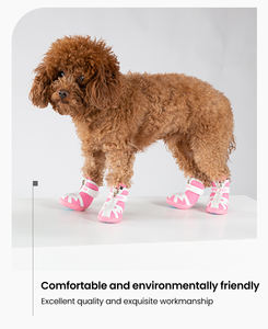 कस्टम फैशन परफेक्ट आरामदायक एयरमेश आउटडोर कुत्ते चलने वाले जूते नरम और गर्म पालतू स्नीकर कुत्ते सभी मौसमों के लिए उपयुक्त - Product Image 3