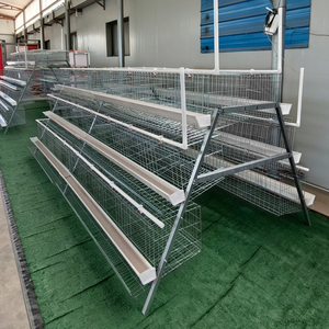 Jaula Automática para Pollos Tipo 3 de 5 Niveles y 90 Aves, 1950x2000x1500mm, Equipo Avícola Galvanizado - Product Image 2