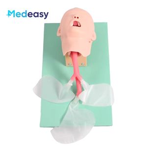 Modèle de formation à l'intubation trachéale pédiatrique Modèle d'enseignement de l'étude Simulateur d'intubation endotrachéale - Product Image 2