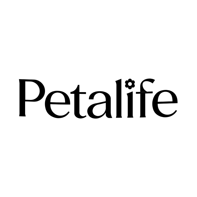 Guangdong Yichen Medical Technology Co., Ltd. logo