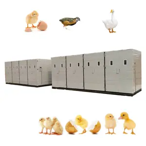 automatic egg turning large egg incubator Fertilized eggs 50688 chicken incubator HJ-I27