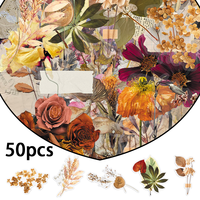 50 pegatinas de la serie de plantas secas para PVC, impermeables, para coche, teléfono móvil, portátil, botella de agua