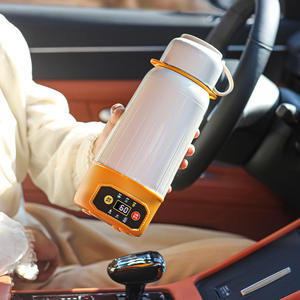 Reishetwaterkoker voor thee Universele auto Thuis Elektrische waterkoker Verwarming Isolatie Stoofpot Kookbeker met temperatuurregeling - Product Image 1