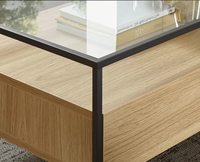 Table basse en verre style nordique, meuble personnalisé de haute qualité, avec rangement en bois, pour salon