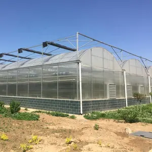Rumah Kaca Pertanian Multi-Span untuk Penanaman Tomat