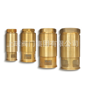 Válvula de Retención de Cobre Up The Ball AL1023966174 con Revestimiento de Goma para Productos Petrolíferos, Tipo de Cierre Lento - Product Image 2