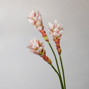 H1029 Fiori Artificiali a Stelo Lungo: Giglio Zenzero, Cereus Notturno, Amaryllis - Decorazioni per Tavolo da Soggiorno e Oggetti di Scena per Studio Fotografico - Product Image 1