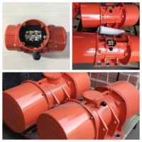 Motor de Vibración Eléctrico MVE 300/3 400/3 500/3 800/3 para Vibrador de Concreto, Cemento y Silo en China
