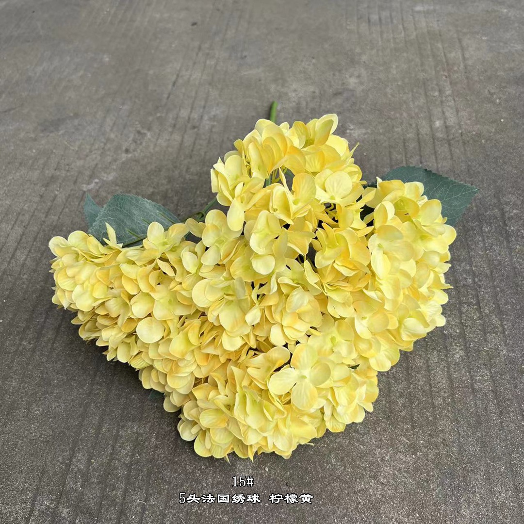 5 Hortensias Français Jaune
