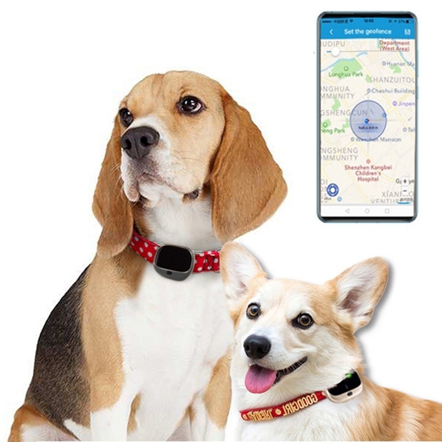 High Quality RF-V43 IP67 Waterproof GPS + LBS + WiFi Mini Smart Pet Locator Pet Collar Tracking Device 4g Gps tracker for Dog
