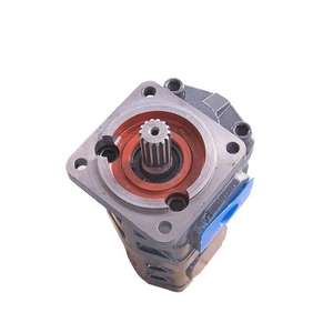 Hansen P2100/J0010 803004128 1155442011 Chargeur de pompe à engrenages hydraulique Tandem Nouveau pour les applications de moteur de vente au détail et de construction - Product Image 4