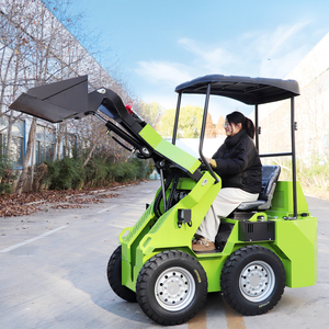 Chargeur compact écologique et économique de 0,8 tonne, moteur EPA, moteur à essence, boîte de vitesses, assistance technique gratuite - Product Image 3